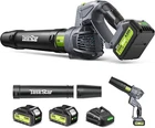 Taskstar Cordless Leaf Blower, 550 Cfm, 8.0AH, 5-SPEED, 3.7 Lbs, Swivel Head New. Price: $49.95.