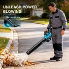 Taskstar 40V Cordless Electric Leaf BLOWER,600CFM/160MPH,2*4.0AH Battery+charger New. Price: $65.79.